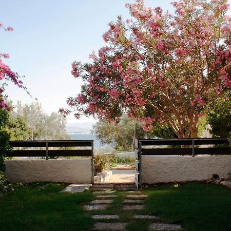 Beachfront Garden Apartment- Atlas Complex Loutráki Exterior photo